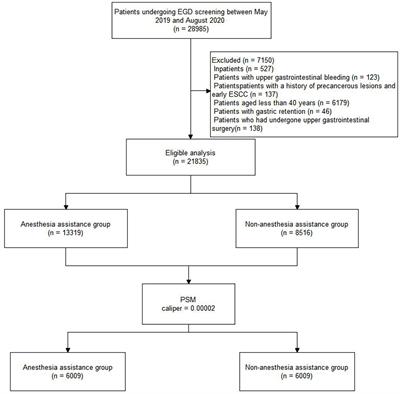 Effect of anesthesia assistance on the detection rate of precancerous lesions and early esophageal squamous cell cancer in esophagogastroduodenoscopy screening: A retrospective study based on propensity score matching